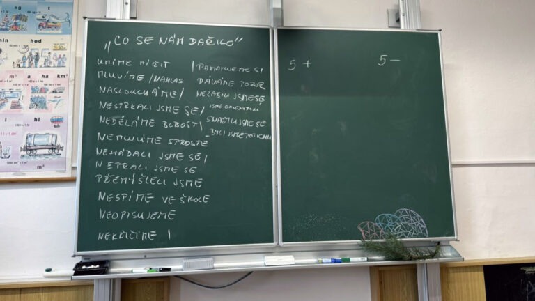 Role pravidel a struktury v debatě MADIO