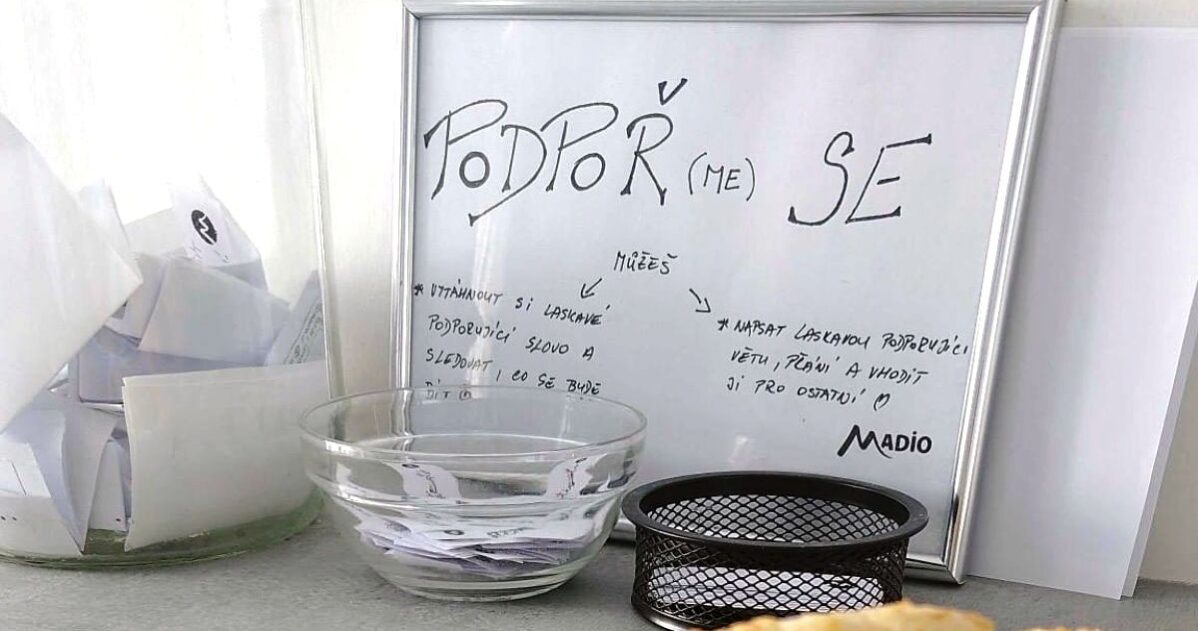 Co může udělat každé dítě pro nováčka – model nápodoby MADIO
