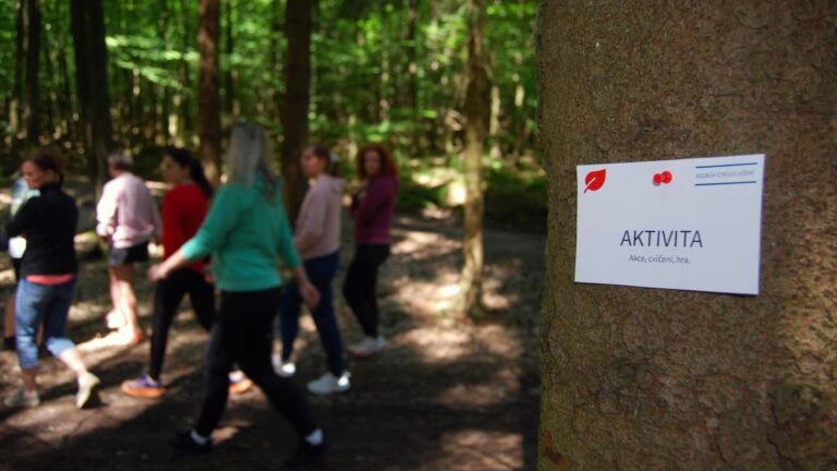 Projekt, který spojil třídu: Když se přestane řešit jen výkon MADIO