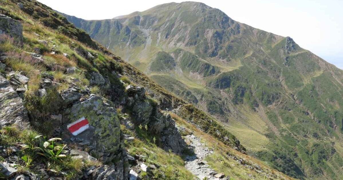 Jak z vize udělat konkrétní směr a kroky MADIO
