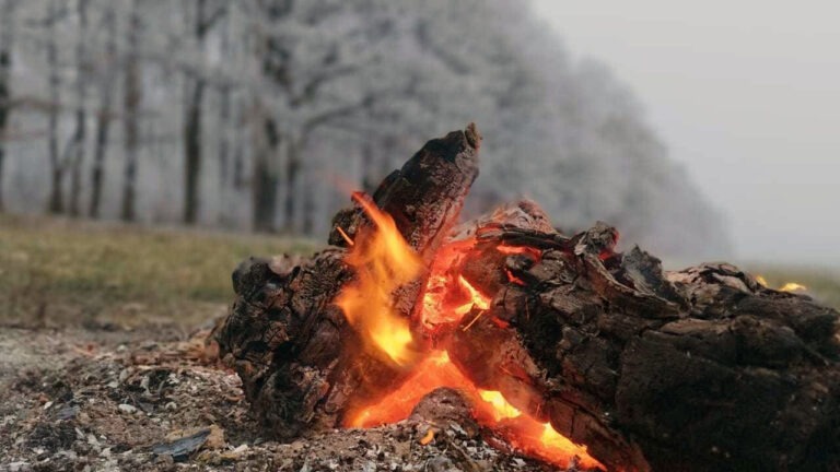 Věty, které nebudí závist, ale inspiraci MADIO