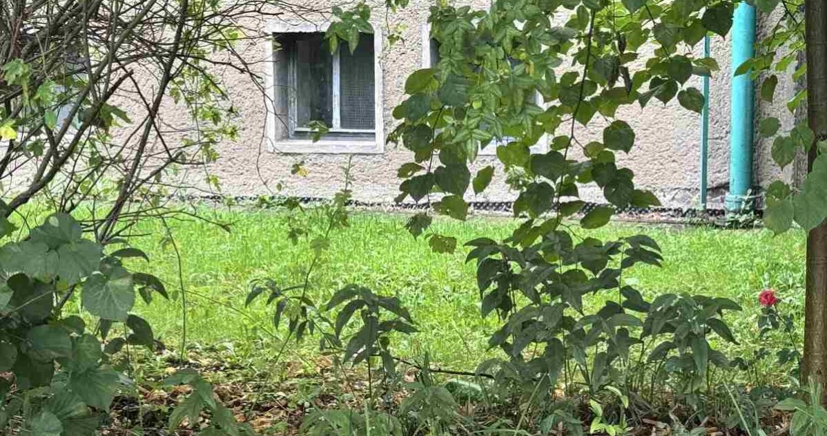 Jak pracovat s příklady úspěchu ‚zevnitř‘ MADIO
