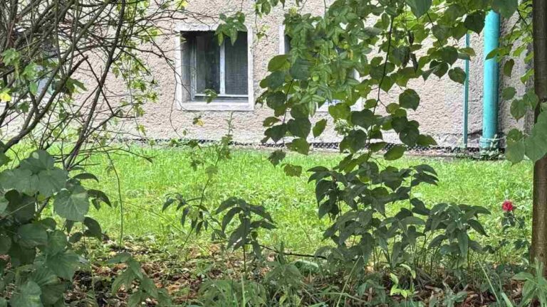 Jak pracovat s příklady úspěchu ‚zevnitř‘ MADIO