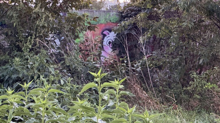 Tichá nedůvěra jako sabotér spolupráce MADIO