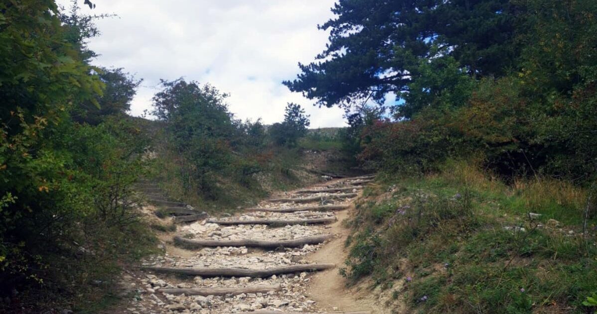 Krátké rituály udržující směr MADIO