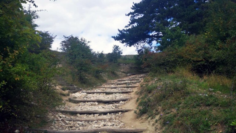 Krátké rituály udržující směr MADIO